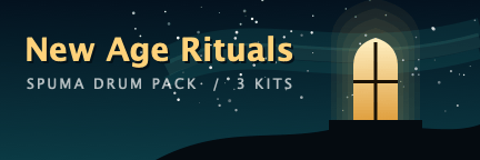 New Age Rituals cover